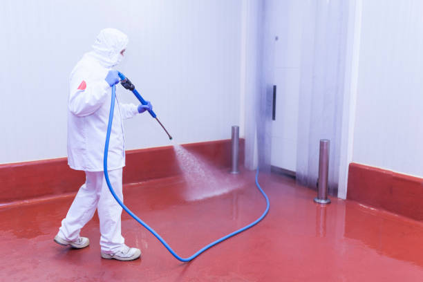 Trusted South El Monte, CA Pressure Washing Services Experts