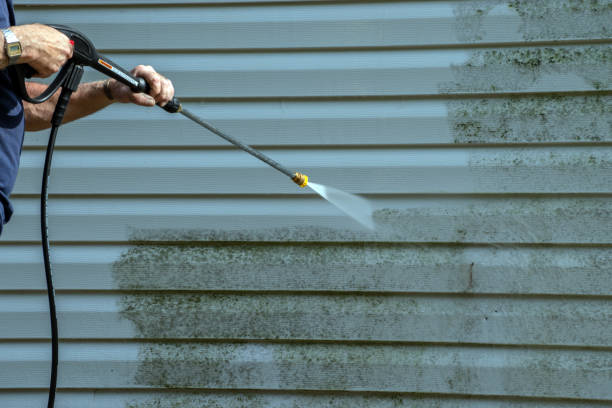 Best Dumpster Area Cleaning  in South El Monte, CA